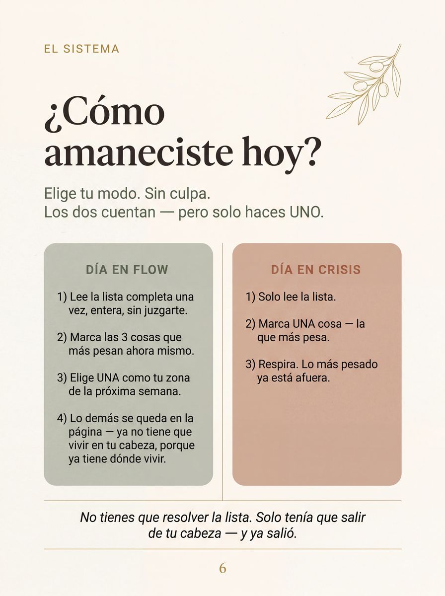 El sistema